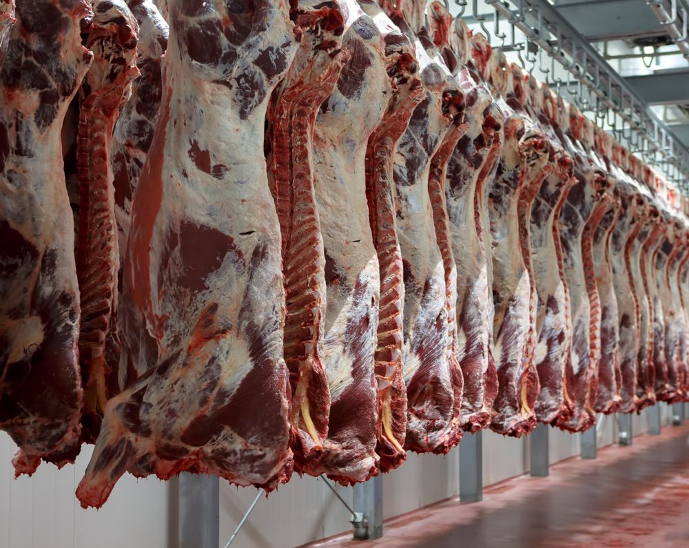 Cool Meat: The Future of Livestock & Meat Trade